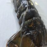 Cold Water Lobster Tail 5-6 Oz.